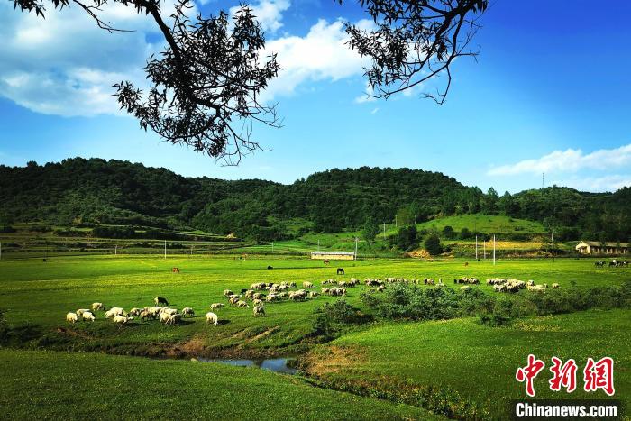 非子牧场天然风光好，是“踏青赏花、避暑休闲、牧马养生”的旅游胜地。　张平安 摄